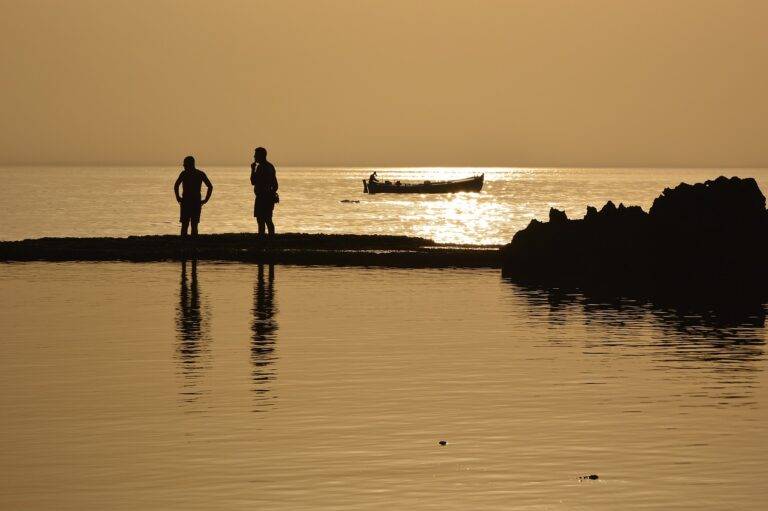 Market Analysis: The Global Expansion of Foreign Films