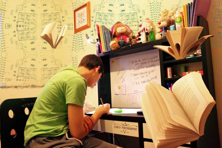 The Role of Language Immersion Programs in Bilingual Education